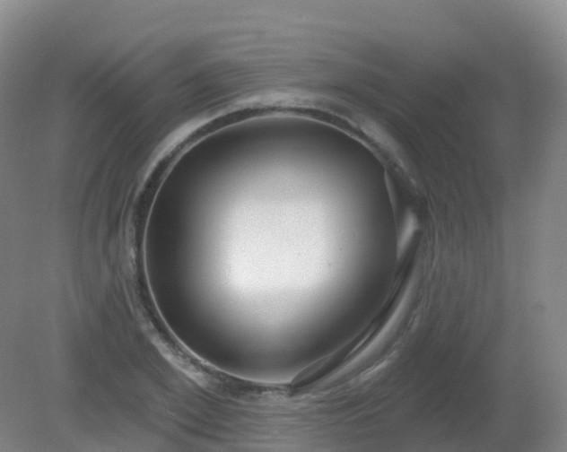 X0000081320981200701181924