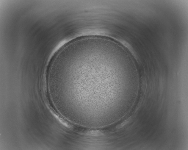 X0000081320982200701181924