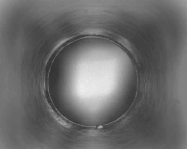 X0000081320984200701181924