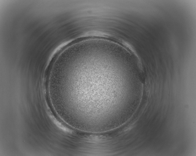 X0000081320987200701181923