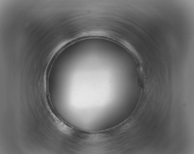 X0000081320988200701181923