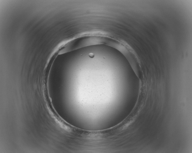 X0000081320989200701181923