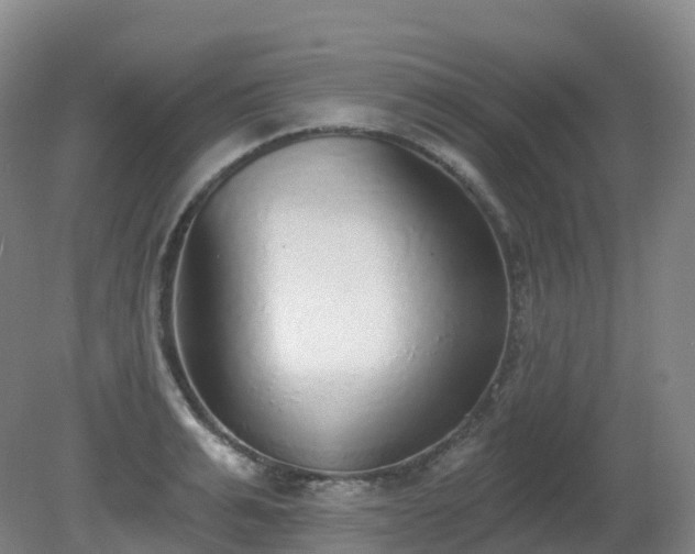 X0000081320991200701181923