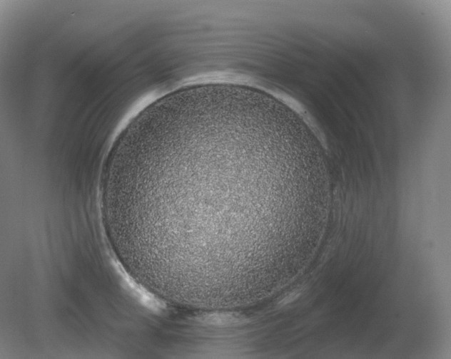 X0000081320998200701181923