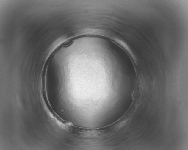 X0000081320999200701181923