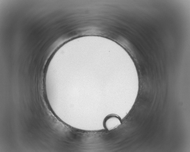 X0000081321000200701181923