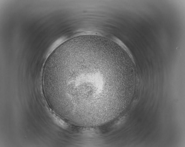 X0000081321002200701181923