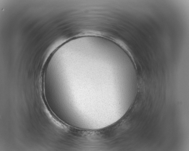 X0000081321003200701181923