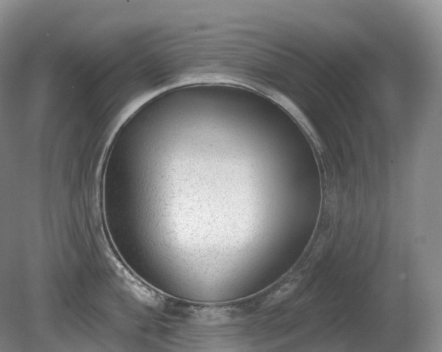 X0000081321004200701181923