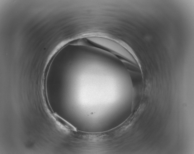 X0000081321005200701181923