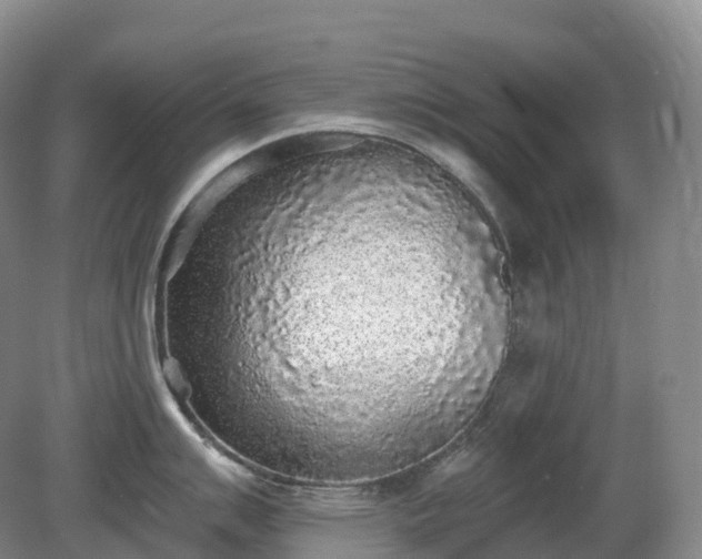 X0000081321007200701181923