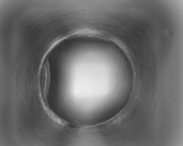 X0000081321008200701181923