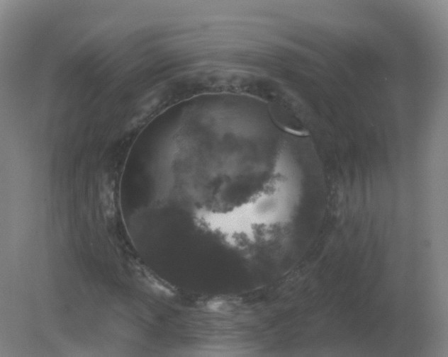 X0000081321013200701181922