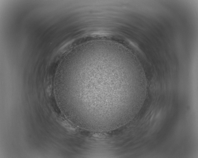 X0000081321015200701181922