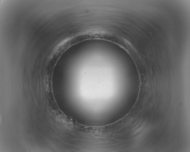 X0000081321016200701181922