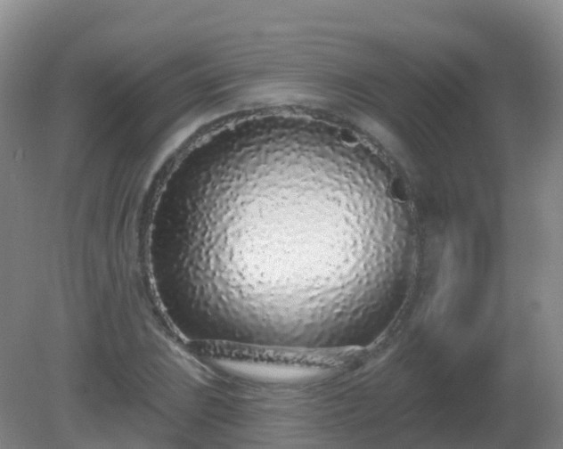 X0000081321023200701181923