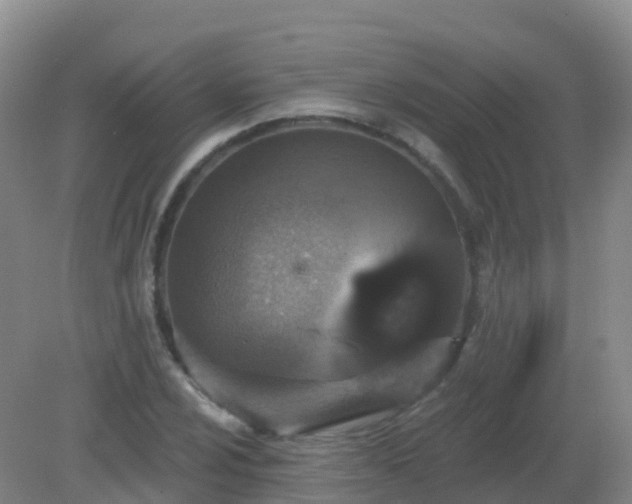 X0000081321024200701181923