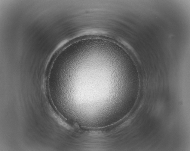 X0000081321029200701181923