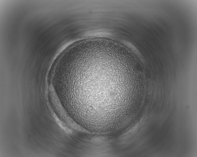 X0000081321031200701181923