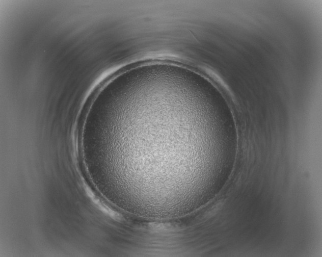 X0000081321032200701181923