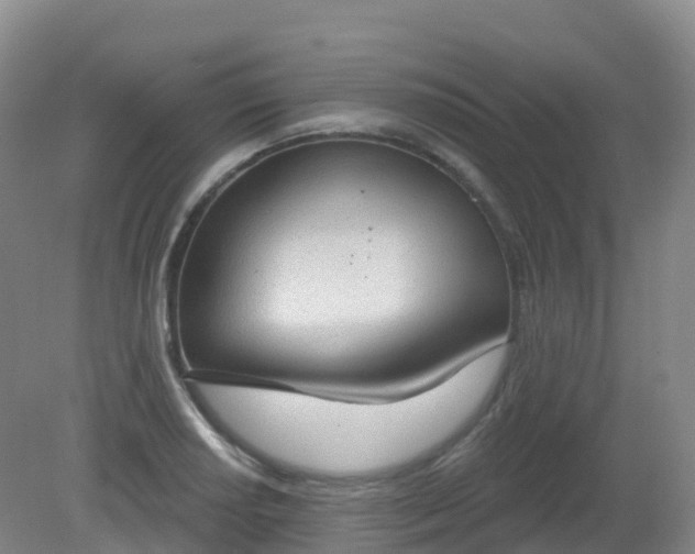 X0000081321034200701181923