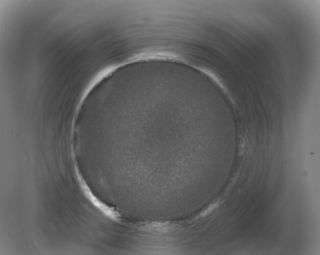 X0000081321038200701181923