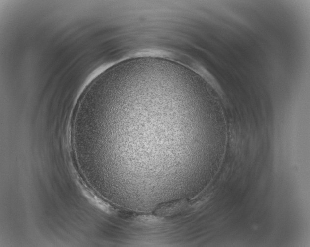 X0000081321044200701181923