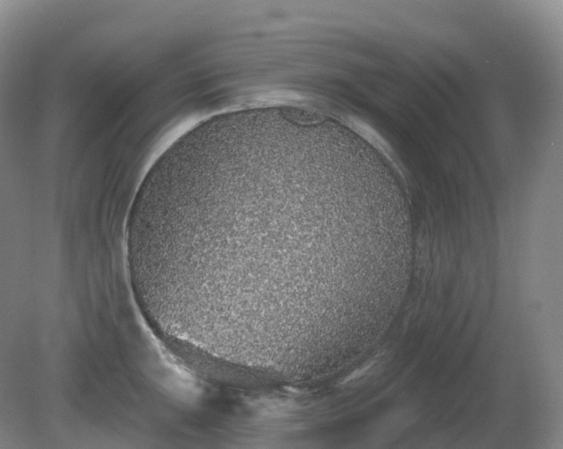 X0000081321047200701181923