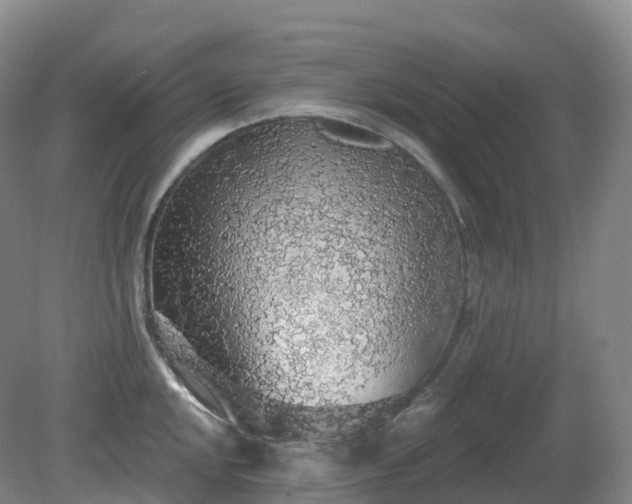 X0000081321048200701181923
