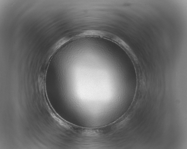 X0000081321049200701181923