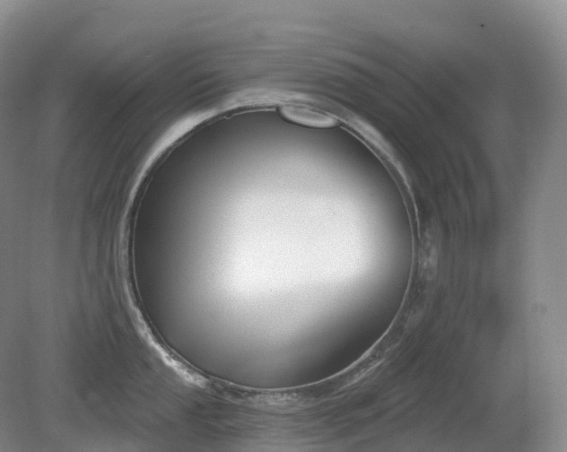 X0000081321053200701181923