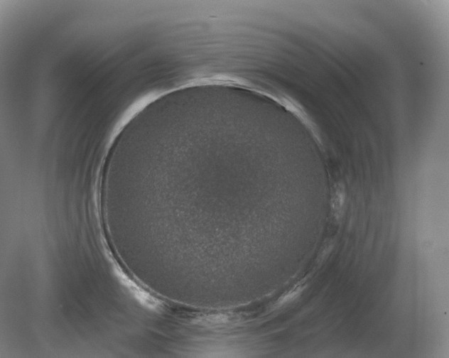 X0000081321054200701181923