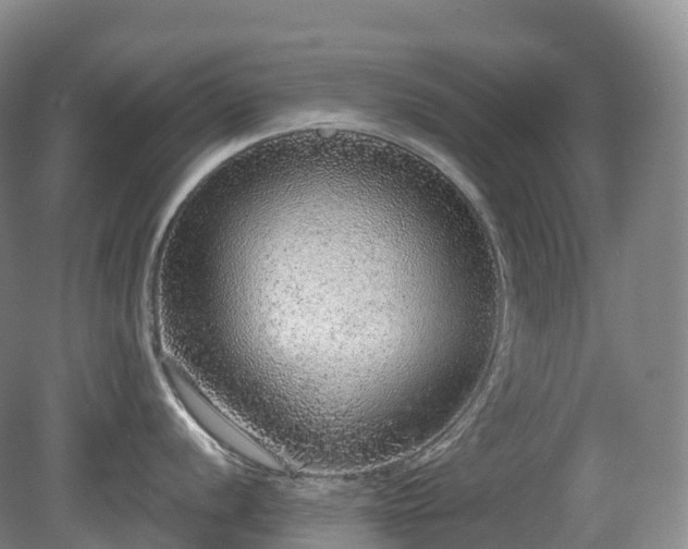 X0000081321056200701181923