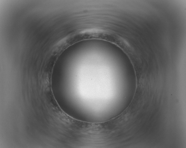 X0000081321062200701181922