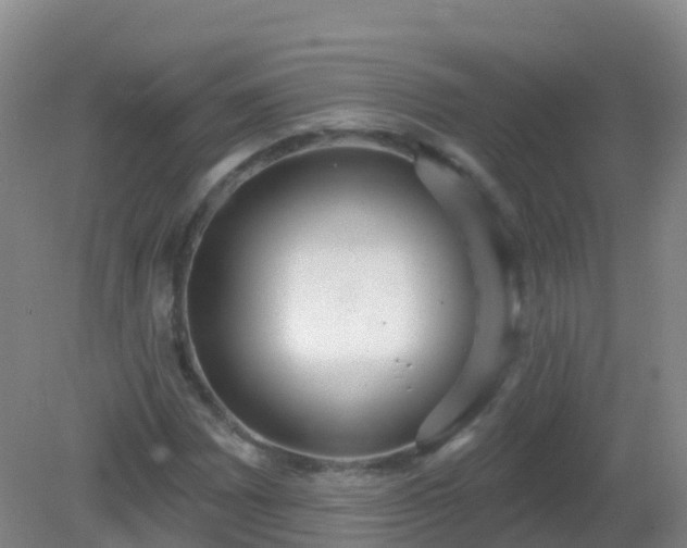 X0000081321065200701181922