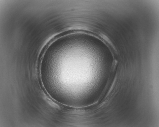 X0000081321068200701181922