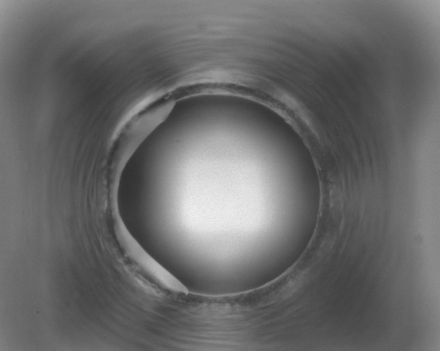 X0000081321069200701181922