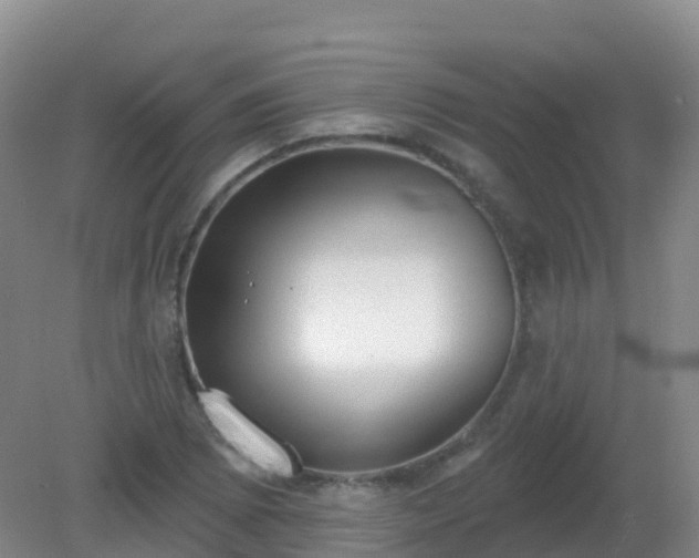 X0000081321073200701181922