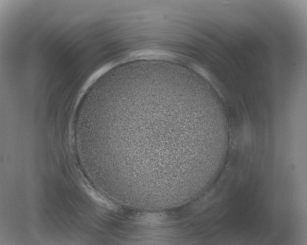 X0000081321074200701181922