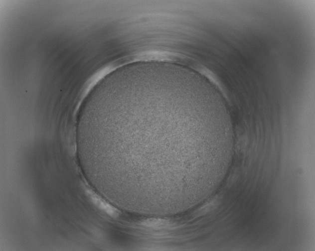 X0000081321075200701181922