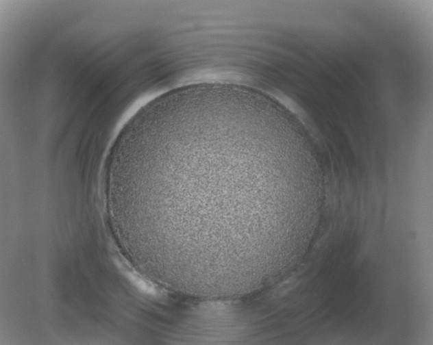 X0000081321078200701181922
