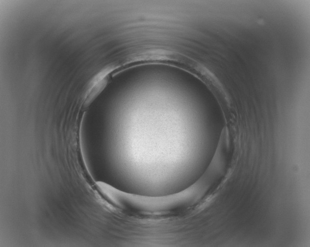 X0000081321081200701181922