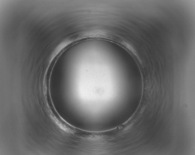 X0000081321082200701181922