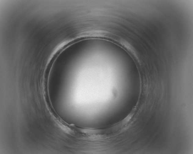 X0000081321085200701181922