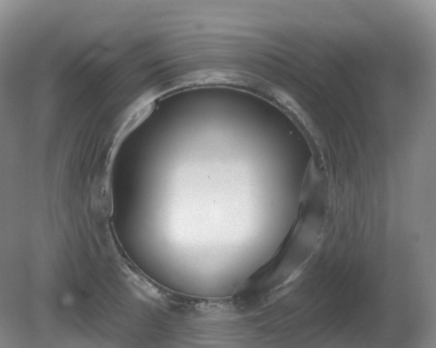 X0000081321089200701181922