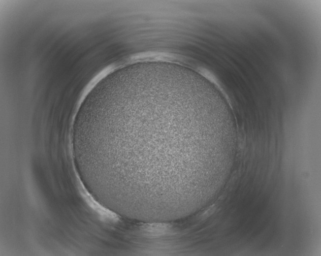 X0000081321090200701181922