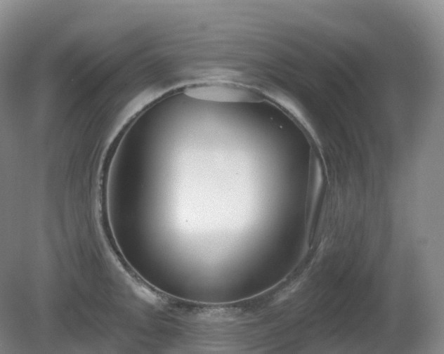 X0000081321093200701181922