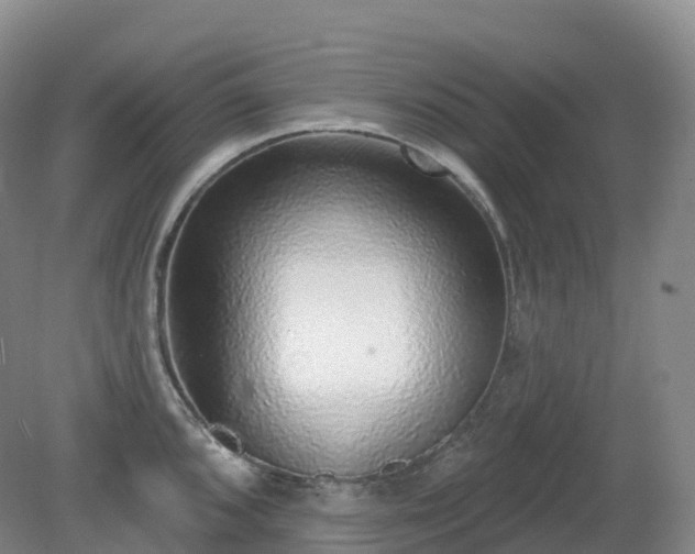 X0000081321096200701181922