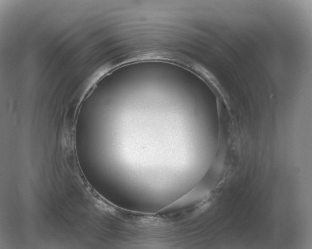 X0000081321097200701181922