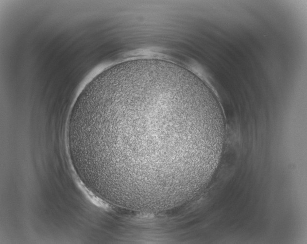 X0000081321098200701181922